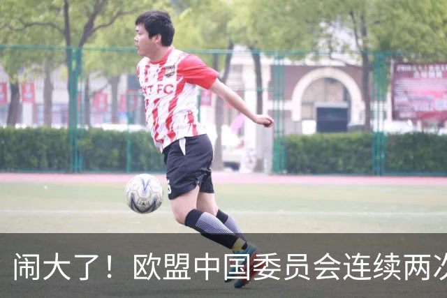 闹大了！欧盟中国委员会连续两次发声，呼吁中国企业依法用工，维护劳动者合法权益